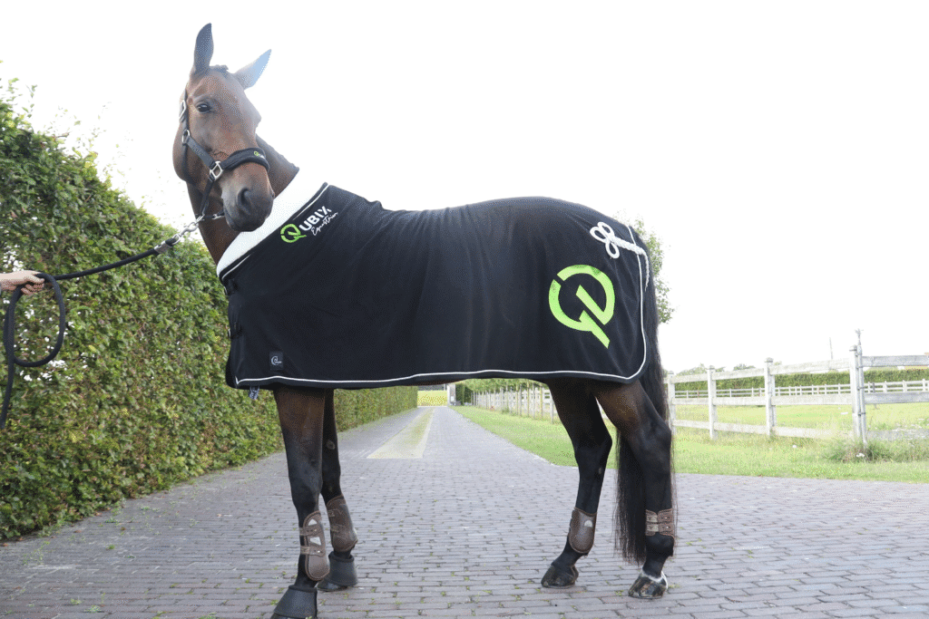 Paard met Qubix deken