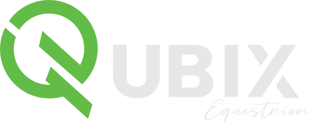 Qubix logo wit